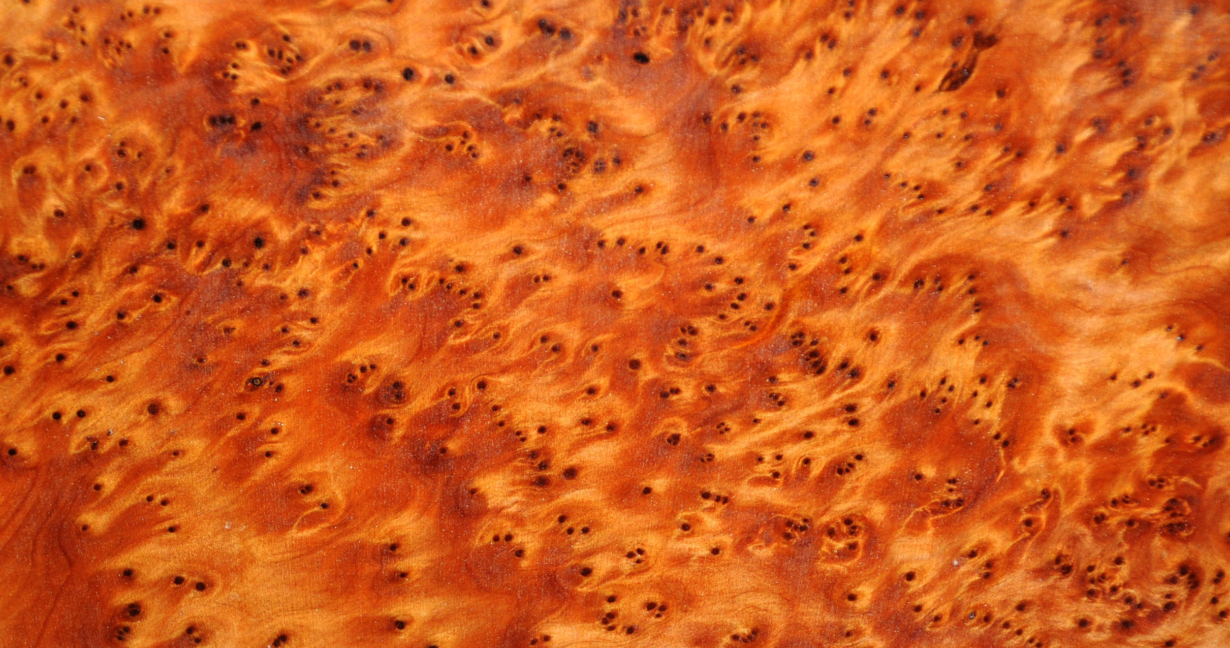 A close up of the many eyes of a Thuya Burl.